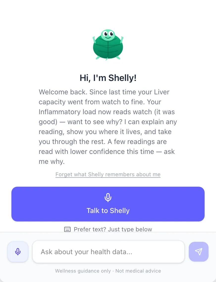 Shelly's panel: "Hi, I'm Shelly! Welcome back. Since last time your Liver capacity went from watch to fine. Your Inflammatory load now reads watch (it was good) — want to see why? I can explain any reading, show you where it lives, and take you through the rest. A few readings are read with lower confidence this time — ask me why." Below it, a Talk to Shelly button and a text box.